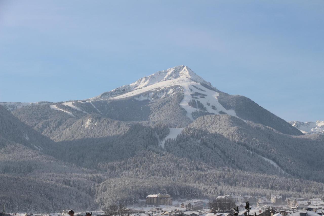 Hotel Alpin - 91 Bansko Exterior photo